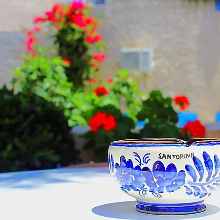 Fortuna فندق